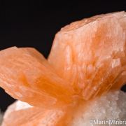 Stilbite