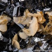 Sphalerite var. Marmatite with Siderite