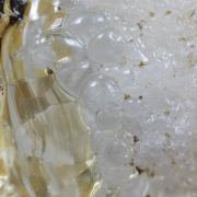 Opale / (variété - « Opal-AN ») / (variété - « Opale Hyalite ») / (« Opale vaisseau sanguin ») / Localité - San Luis Potosi, Mexique