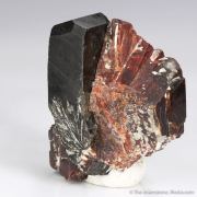 Tantalite-(Fe) with Tantalite-(Mn) - illustrated