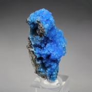 EVANSITE