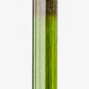 Tourmaline