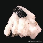 Tantalite-(Fe) on Albite