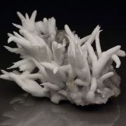 ARAGONITE var. FLOS FERRI