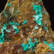 Chalcophyllite