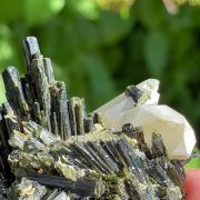 Epidote on Quartz - Flor de Peru I claim (Tantadora Mine), Peru