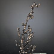 Silver (arborescent, fine crystallized)