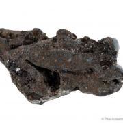 Native Lead
