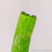 Tremolite