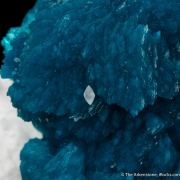 Cavansite on Mordenite