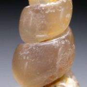 Fossil collection
