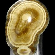 Baryte, marcasite