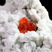 Spessartine Garnet on Albite var. Cleavelandite