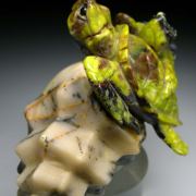Turtle carving