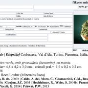 Diopside with Grossular (variety hessonite)