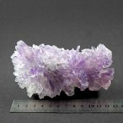Amethyst / Amethystflower – Irai, Rio Grande do Sul, Brazil