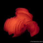 Calcite var. Manganoan