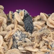 Luzonite  ANALYSED