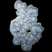 Baryte