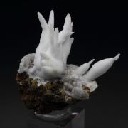 ARAGONITE var. FLOS FERRI