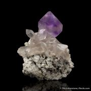 Amethyst scepter on Quartz