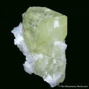 Amblygonite (twinned) with Albite