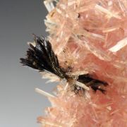 INESITE, HUBEITE