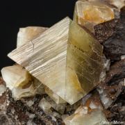 Wardite
