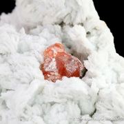 Spessartine Garnet on Albite var. Cleavelandite