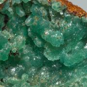 Adamite (variety cuprian)