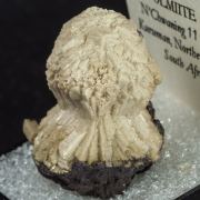 Olmiite