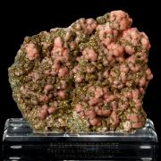 Japanese Rhodochrosite on Pyrite