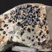 Andradite var. Melanite