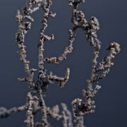Copper - elongated spinel twin chains