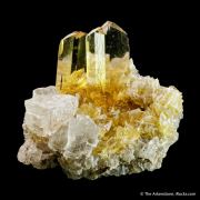 Gypsum var. Selenite and Halite