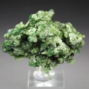 gem GARNET var. GROSSULAR with GREEN CHROMIAN PHANTOMS, DIOPSIDE
