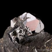 Sperrylite with Chalcopyrite
