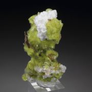 new find - CARLHINTZEITE