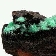 Agardite-Nd