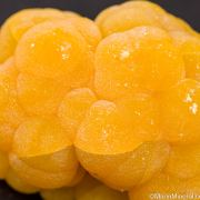 Mimetite