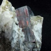 Manganotantalite