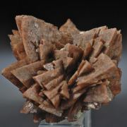 Danalite/ Genthelvite/ Helvite-  Rosette cluster