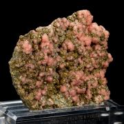 Japanese Rhodochrosite on Pyrite