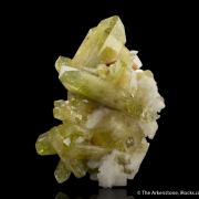 Brazilianite on Albite