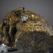Sperrylite crystals with Native Gold on Chalcopyrite  (type locale)