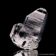 Quartz (Japan Law Twin)