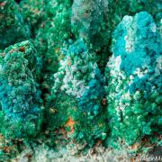 Cuprian Adamite, Rosasite, Smithsonite, Malachite on Calcite casts