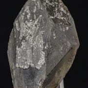Blodite