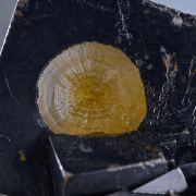 Fluorite - zoned with hollow Barite indentation