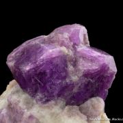 Sodalite var. Hackmanite 